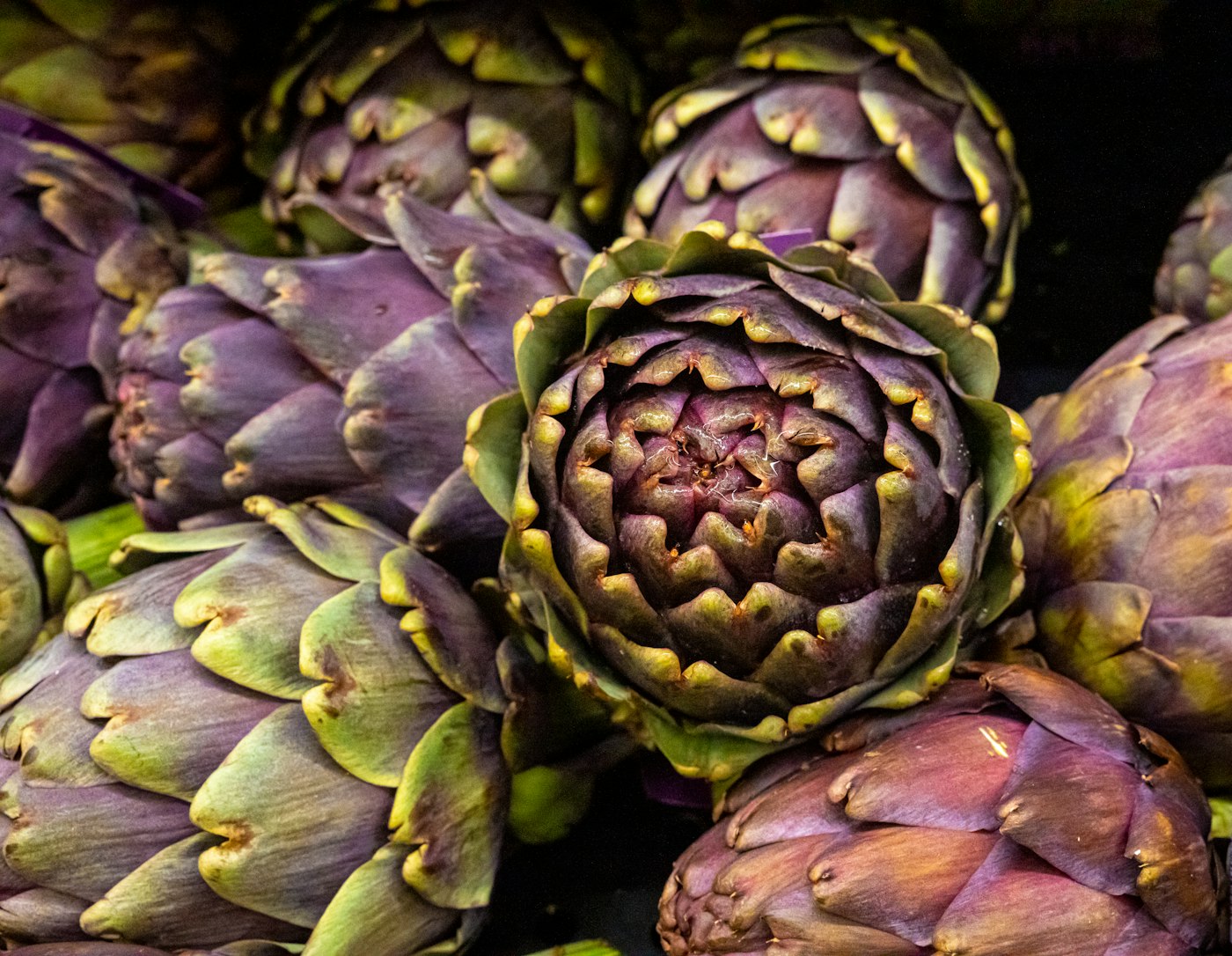 Globe artichokes