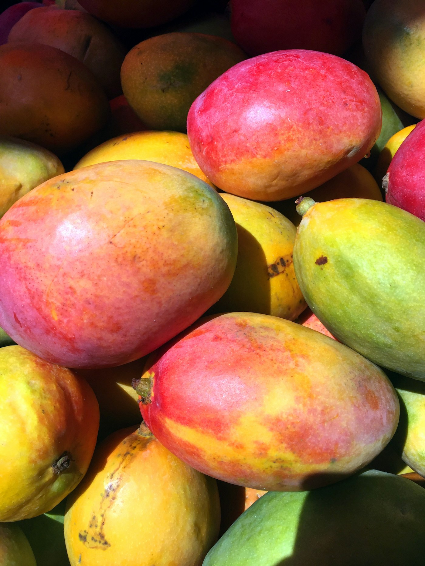 Fresh mangoes